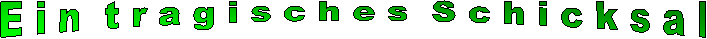 E i n  t r a u r i g e s  S c h i c k s a l