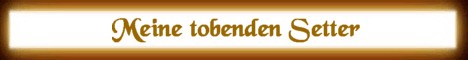 bitte klicken