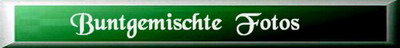 bitte klicken