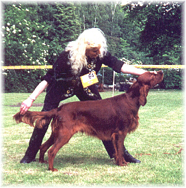 Benjury's 1. Ausstellung